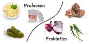 A picture of probiotics and prebiotics with onions.